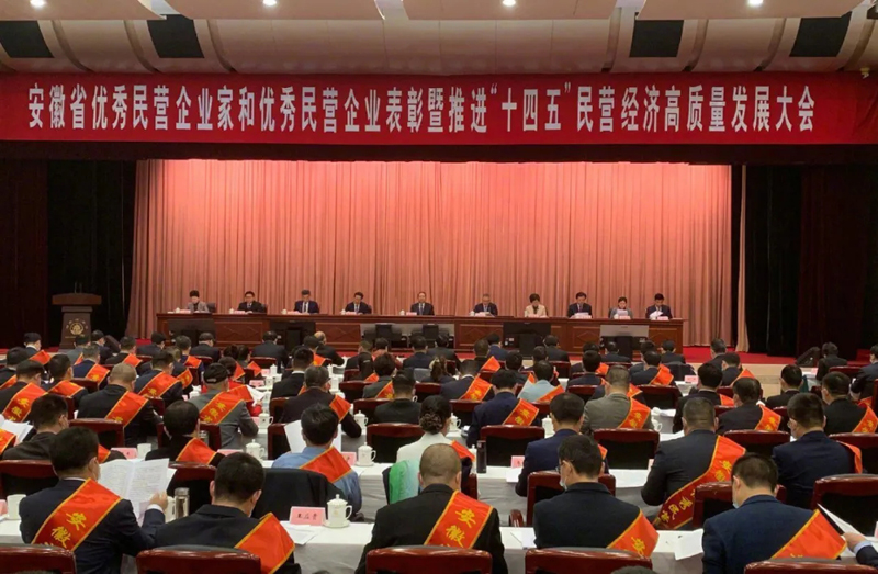 喜讯！yl34511线路中心科技总经理梁燕被授予“安徽省优秀民营企业家”称号